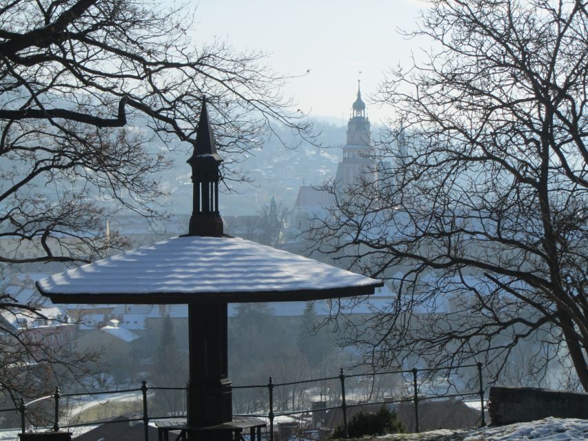 Český Krumlov: 2 Hour Private Walking Tour with Guide - Price and Value: What You’re Really Paying For