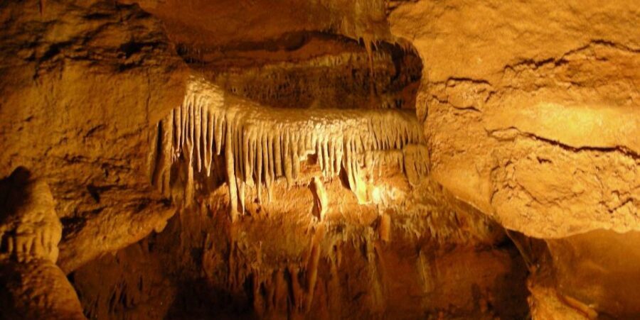 From Prague: Karlštejn Castle & Koněprusy Caves Tour - Should You Book This Tour?