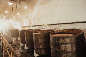 Pilsen: Pilsner Urquell Brewery Tour with Beer Tasting - Visitor Center to bottling hall: the “how it works now” part