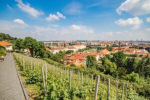 Prague Castle 2.5-Hour Tour Including Admission Ticket - Tram Ride Up: A Smart Shortcut From Lesser Town to the Castle