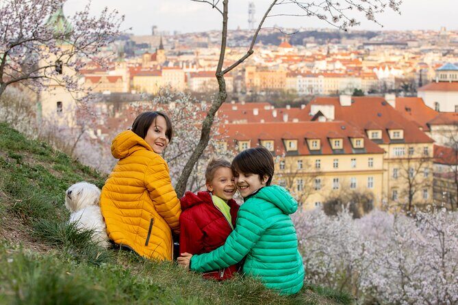Prague City Highlights Private Tour for Kids and Families - Pricing: $242.15 per person, and where the value actually comes from