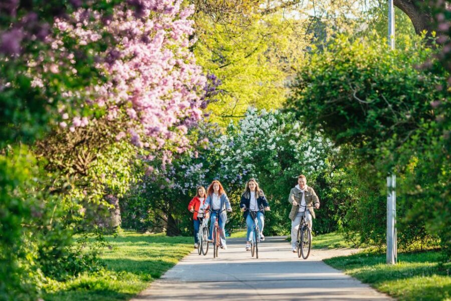 Prague: Complete Bike Tour - Where to meet and how to plan your timing