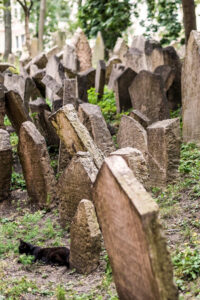 Prague: Jewish Quarter Walking Tour with Admission Tickets - Maisel Synagogue at the start: setting the story for the whole quarter