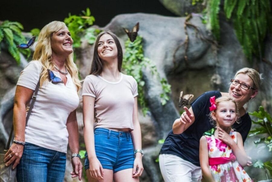 Prague: Papilonia Butterfly House - Key things to know before you go