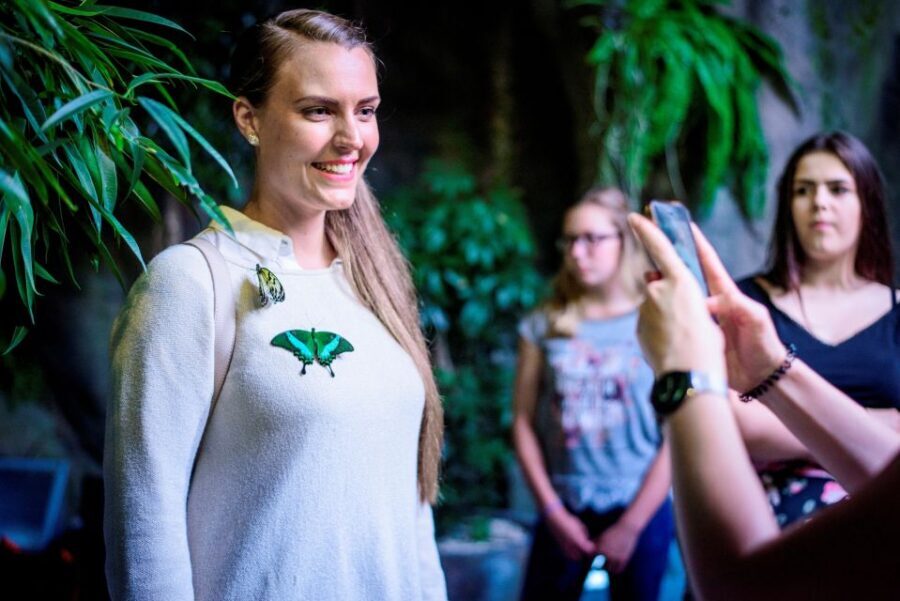 Prague: Papilonia Butterfly House - Check-in and lockers: what to do before you enter