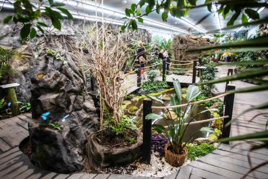 Prague: Papilonia Butterfly House - How long to stay: unlimited time, but plan your pacing