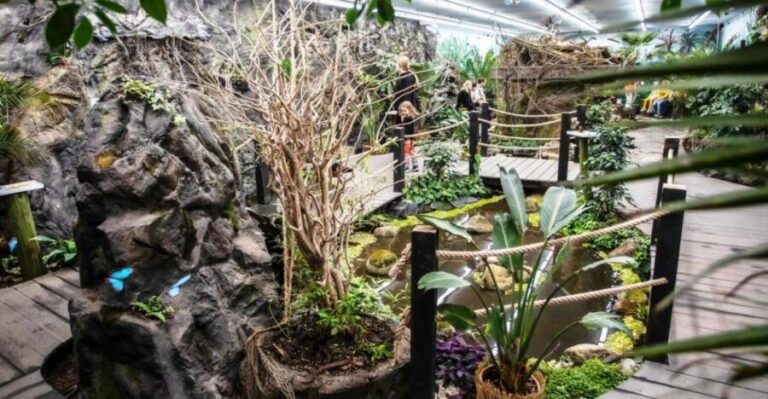 Prague: Papilonia Butterfly House - Getting there fast: The Playground 1st floor meeting point