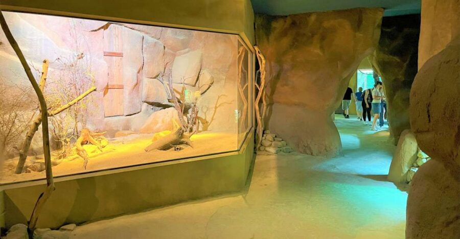 Prague: Prague Zoo Audio Guide with E-Ticket - Prague Zoo in Troja: why an audio guide helps in real life