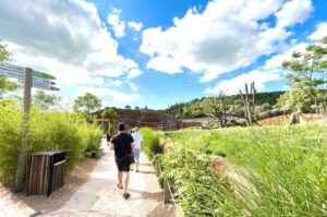 Prague: Prague Zoo Audio Guide with E-Ticket - Getting in at U Trojského zámku 120/3 (and what to expect at the gate)