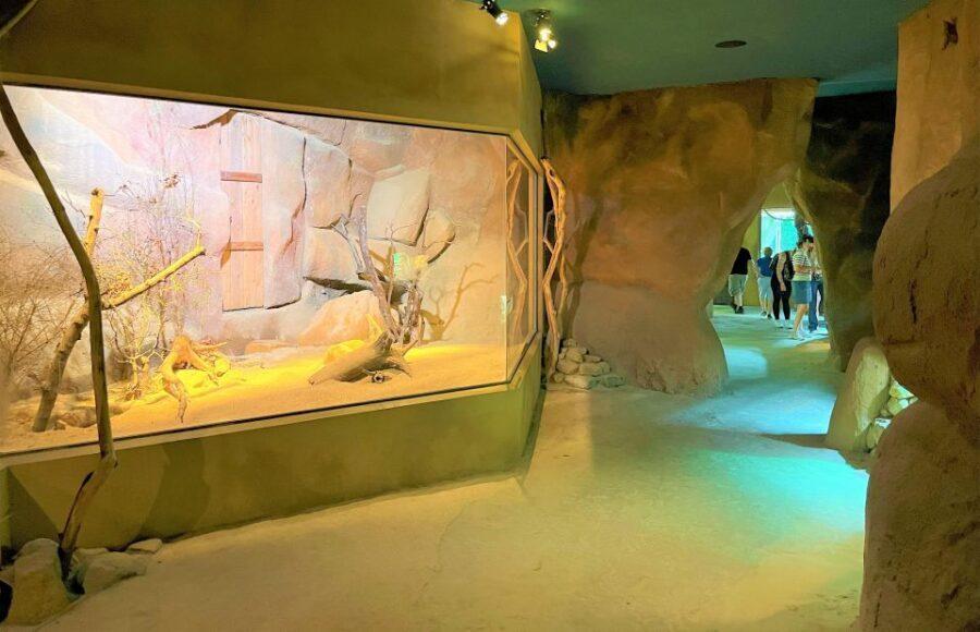 Prague: Prague Zoo Audio Guide with E-Ticket - Setup matters: login details, internet, and keeping your phone alive