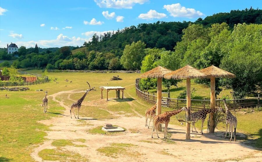 Prague: Prague Zoo Audio Guide with E-Ticket - What you’ll learn: history and pavilion context that makes enclosures better