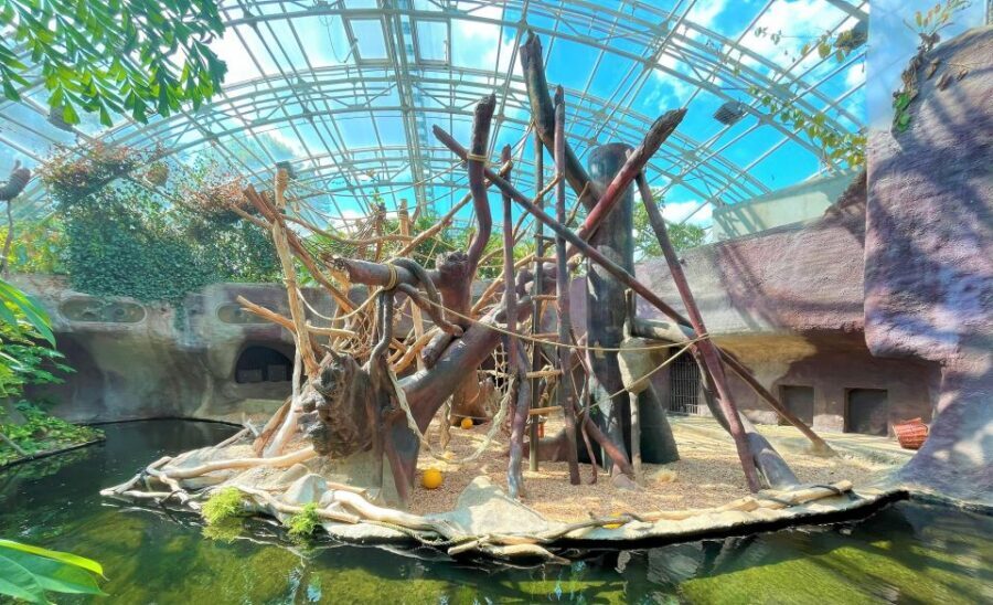 Prague: Prague Zoo Audio Guide with E-Ticket - A 1-day visit plan: how to pace yourself so you don’t miss the good stuff