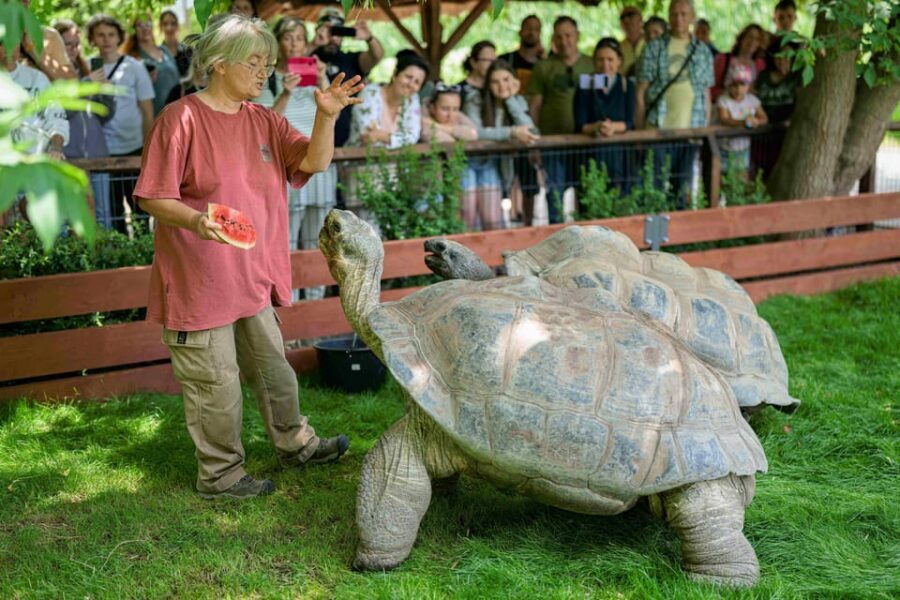 Prague Zoo: Skip-the-Line Entry Ticket - A Route That Works: From Big Predators to Arctic Moments