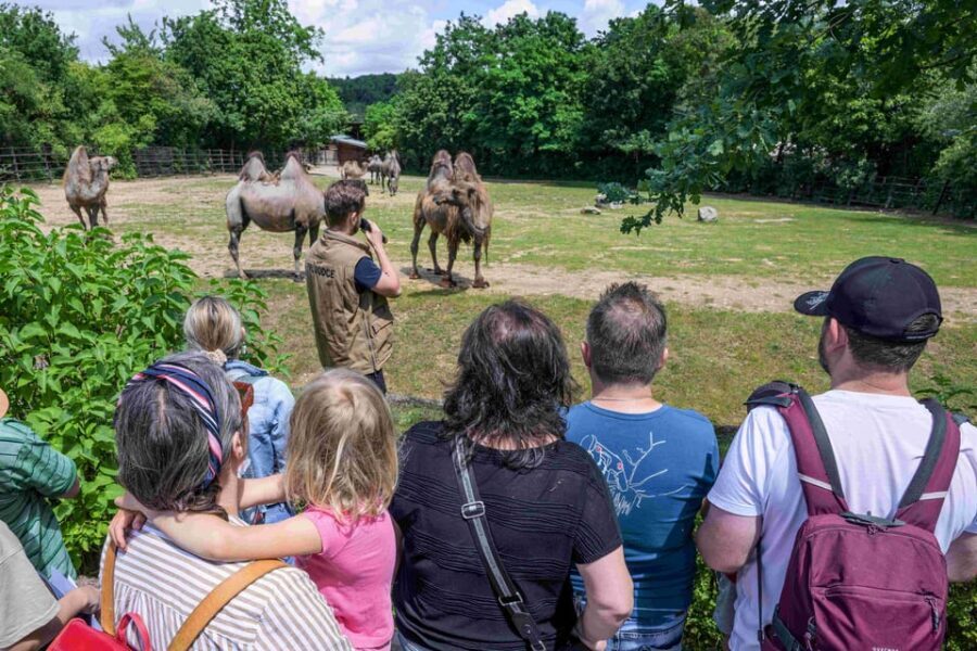 Prague Zoo: Skip-the-Line Entry Ticket - Rules That Keep the Day Safe (and Protect the Animals)