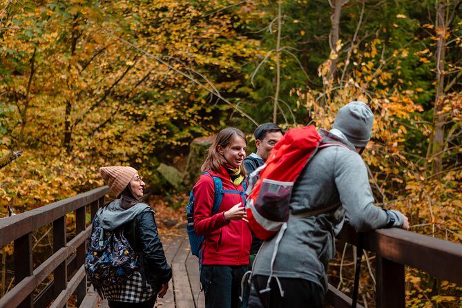 VIP Best Reviews: Bohemian & Saxon Switzerland from Prague - Bohemian Switzerland time: the calm 1-hour park stop before the bigger moments