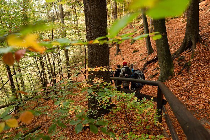 VIP Best Reviews: Bohemian & Saxon Switzerland from Prague - Tisá Rocks in winter: the Narnia maze that’s worth dressing for